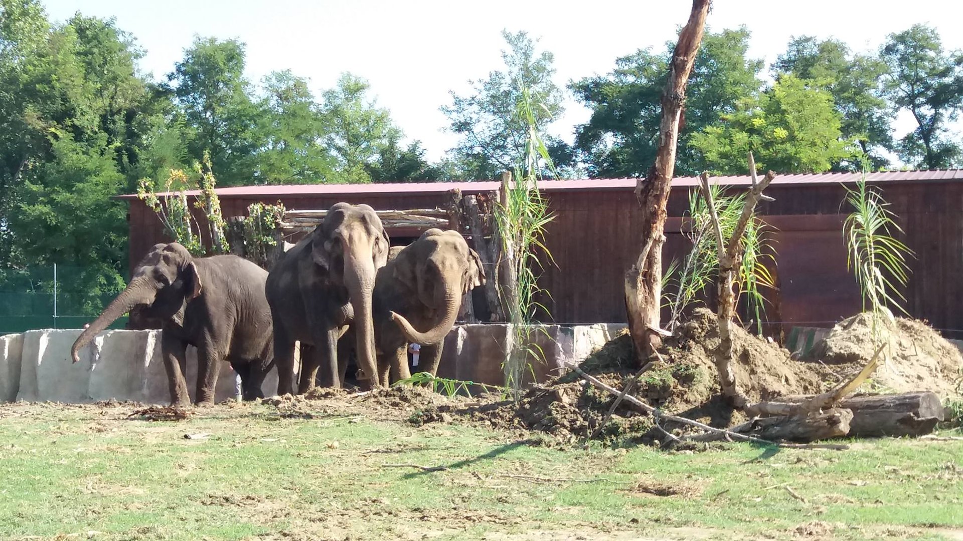 zoosafari